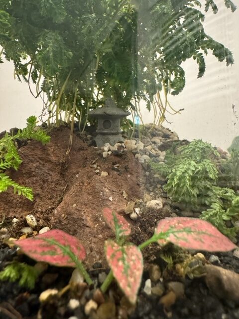 Terrarium-Hokkaido-13
