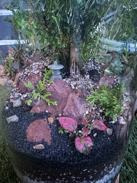 Terrarium-Hokkaido-3