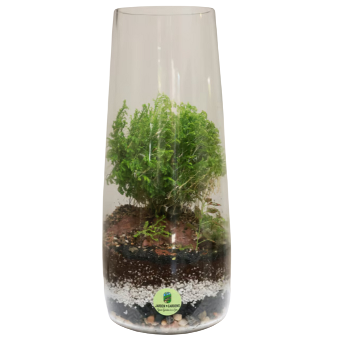 terrarium-hokkaido-jarden-gardens-interior-biophilic-design