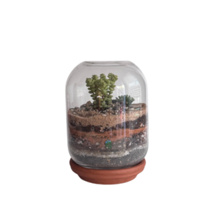 Terrarium Monument Valley