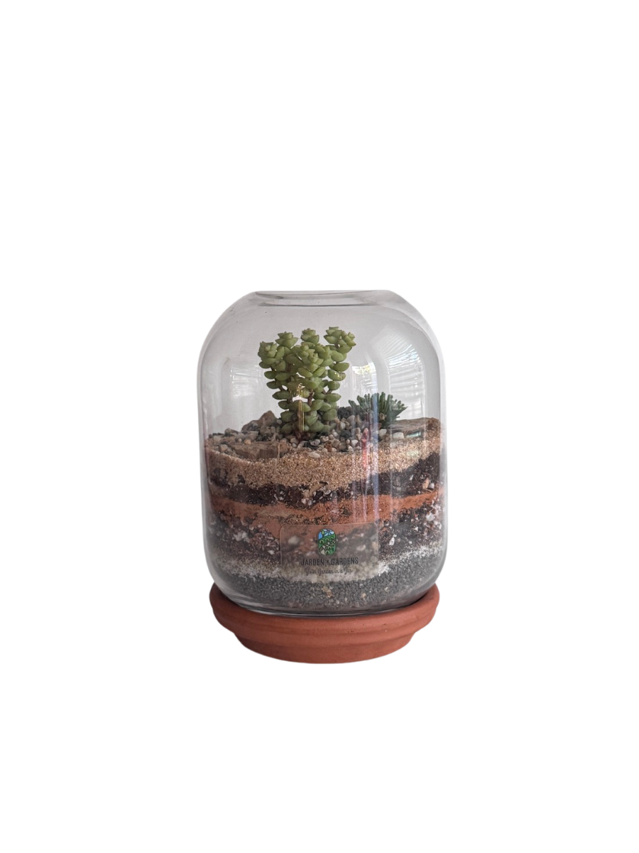 Terrarium Monument Valley - Jarden Gardens - Interior Biophilic Design