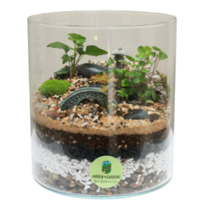 Terrarium Yakushima Walnut Creek