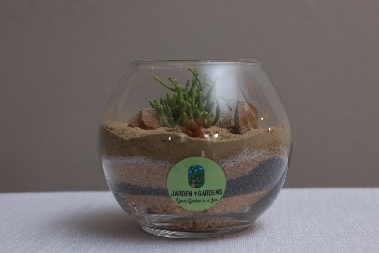Terrarium-Walnut-Creek1