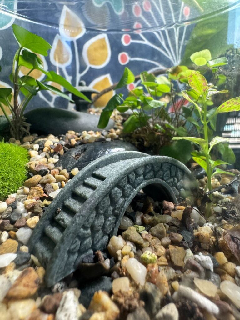 Closed Terrarium Care Guide