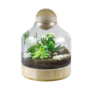 Terrarium Wakayama