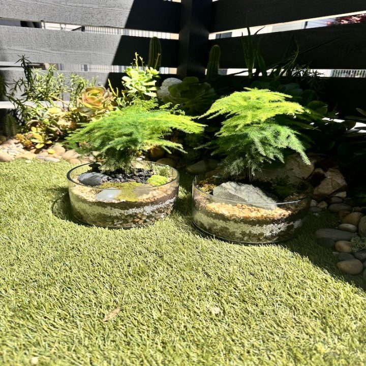 Open Terrarium