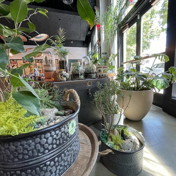 Green space design
